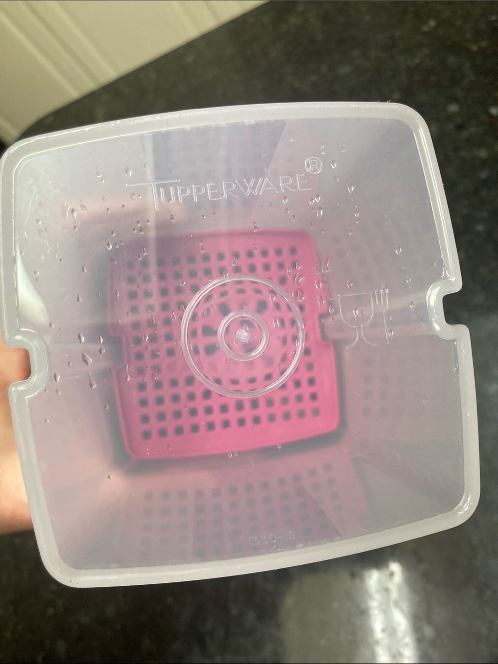 Tupperware Puckle keeper Storage Container Set with Insert - Home Organization - Picture 2 of 5